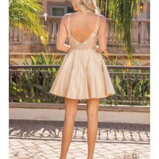 Champagne (Fit and Flare)